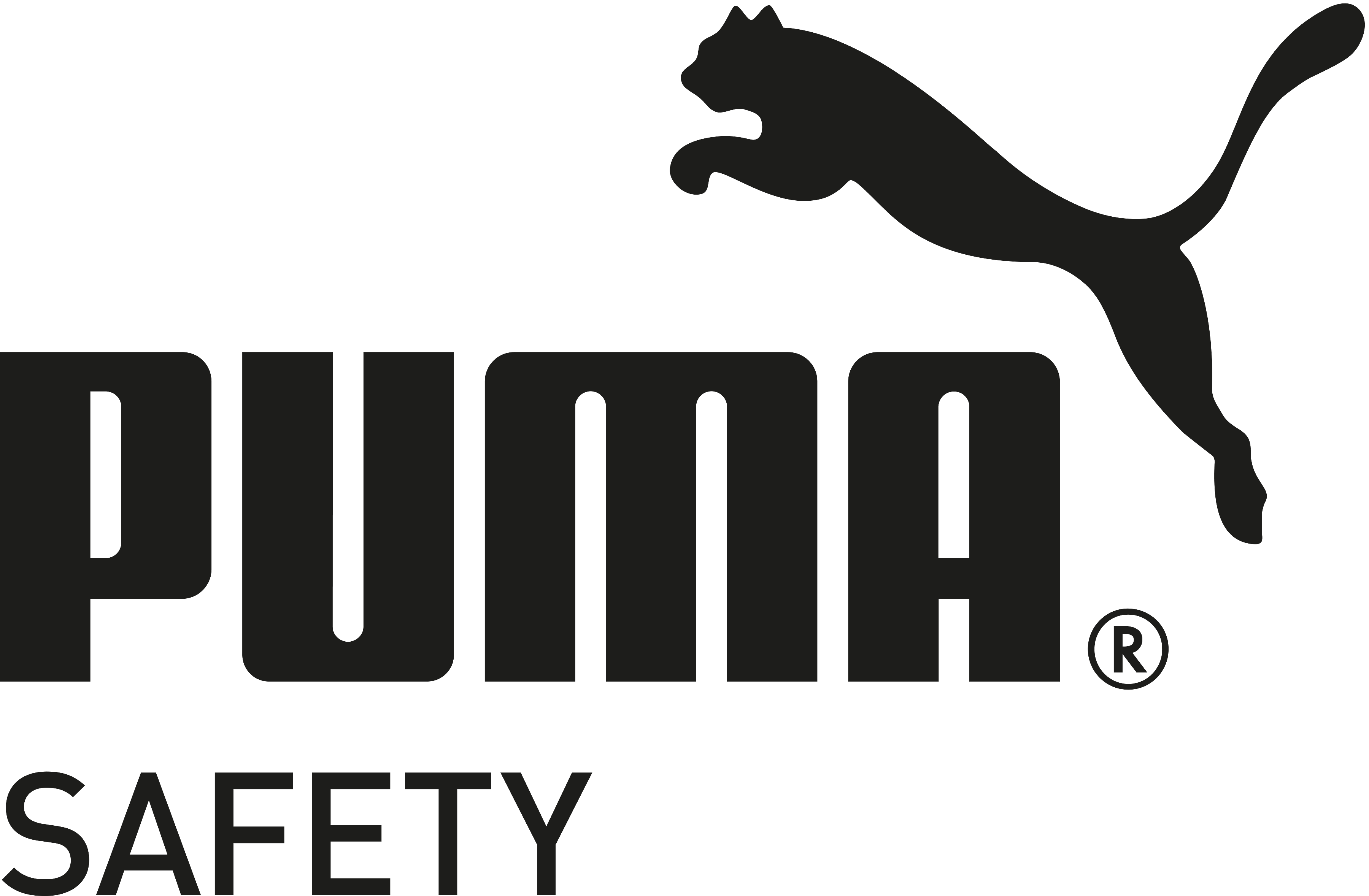 Puma Safety Shoes